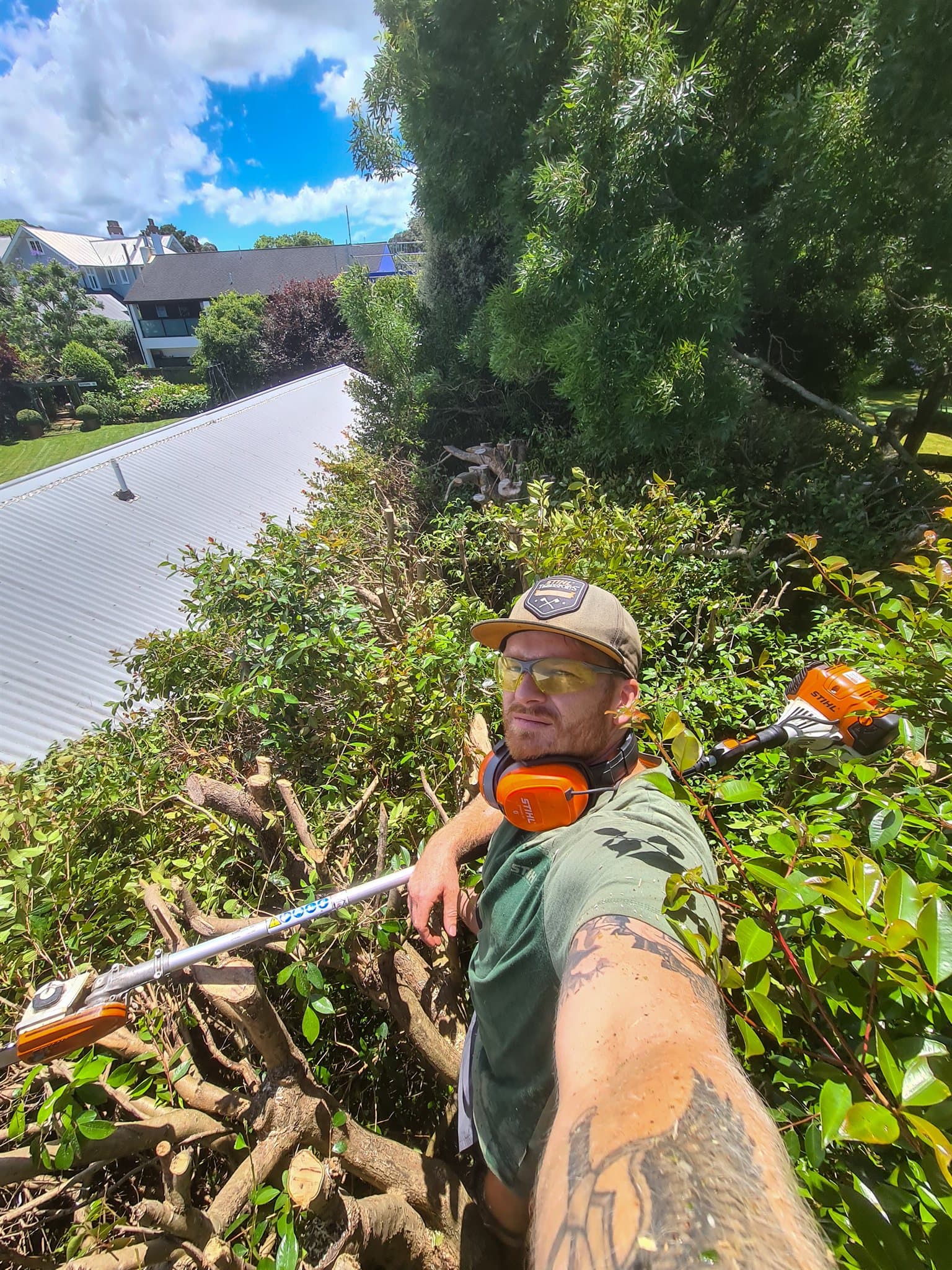 Hedge Masters specialist working on a large hedge with professional trimming equipment